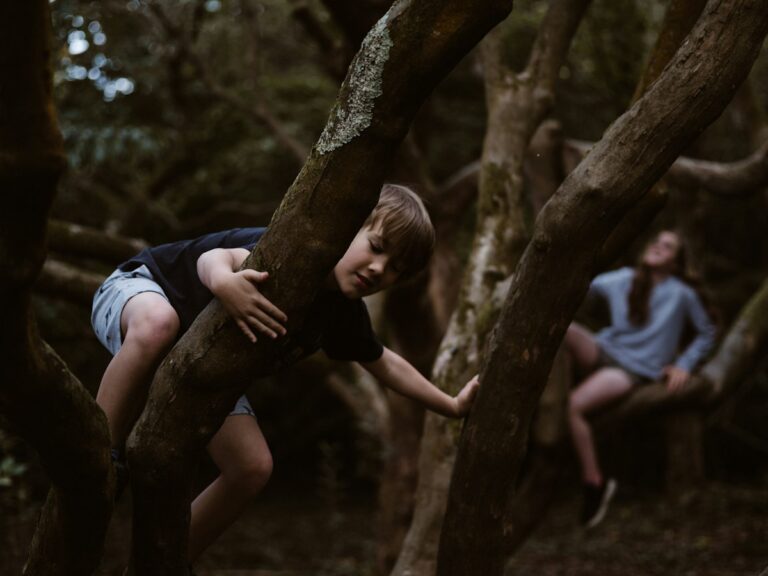 Child climbing a tree outdoors during a family moment of discovery.