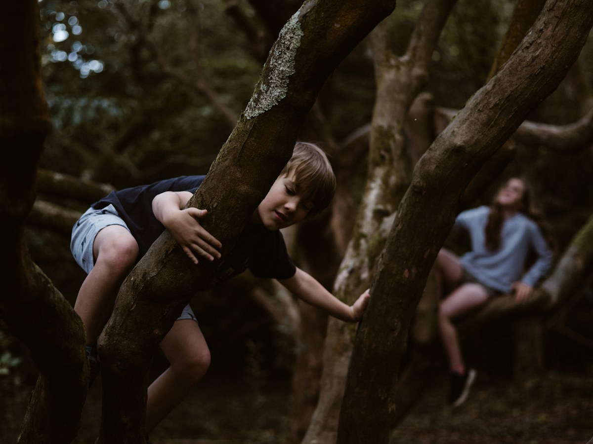 Child discovering nature outdoors with family.