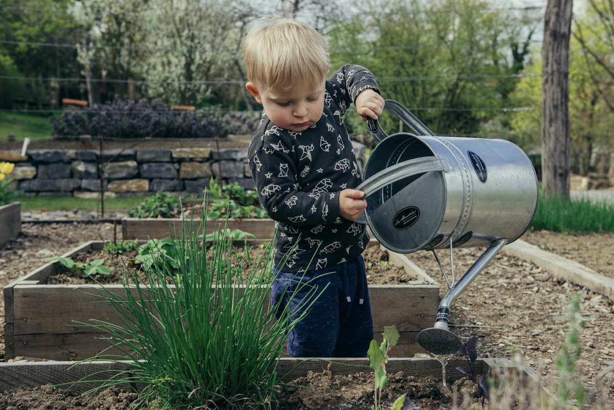 Child exploring and watering a garden.